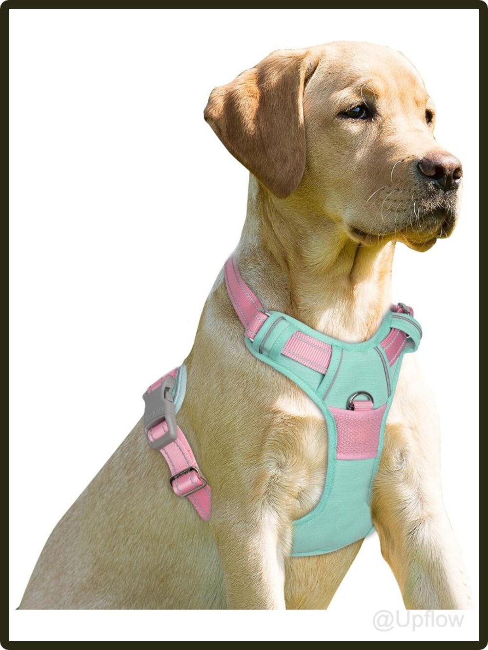 Medium Dog No Pull Harness Vest Adjustable Reflective Padded Handle Walking